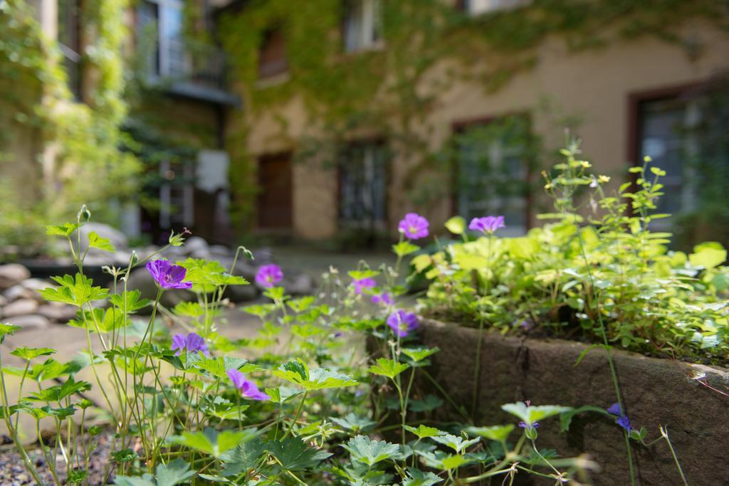 Zum Roten Baeren Freiburg im Breisgau Luaran gambar